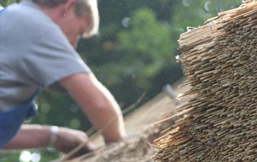 professional Tellisford thatchers